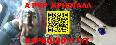 мдпв Кингисепп
