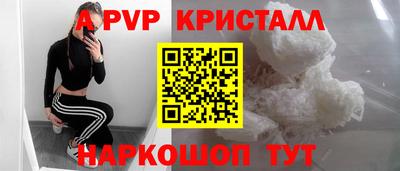 мдпв Кингисепп