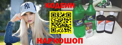 мдпв Кингисепп