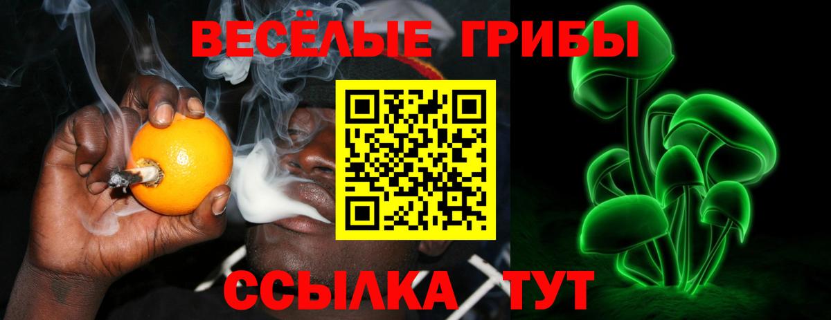 Кушва  Псилоцибиновые грибы ЛСД  Вход с VPN 